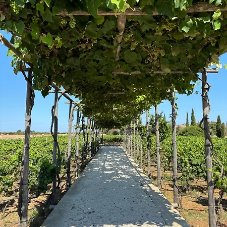 Farm stay Agricola Bellisario Ospitalita Rurale